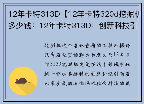 12年卡特313D【12年卡特320d挖掘机多少钱：12年卡特313D：创新科技引领未来】