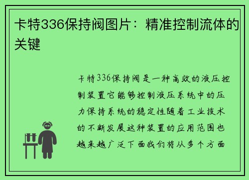 卡特336保持阀图片：精准控制流体的关键